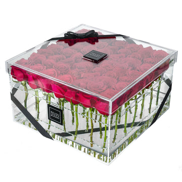 Large Bloom Box